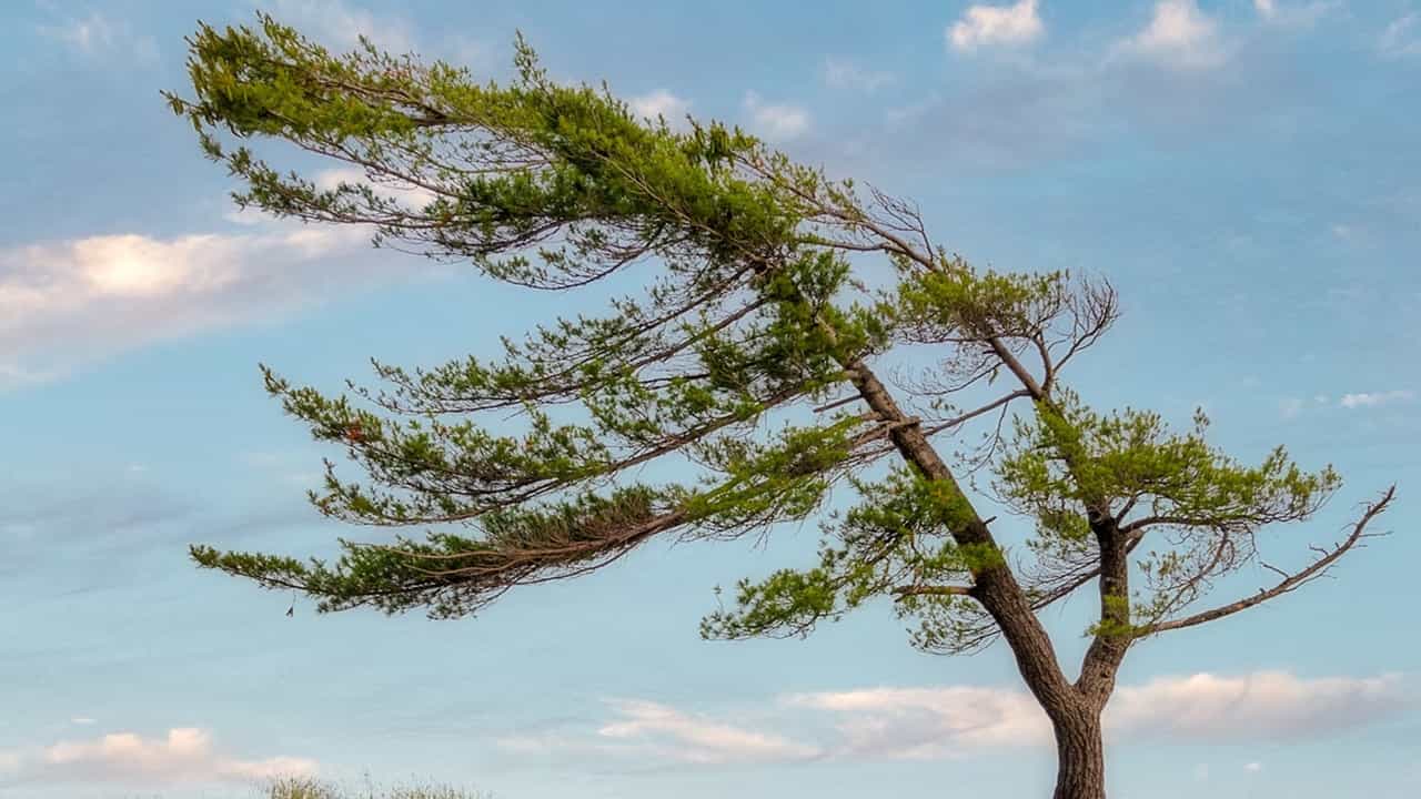 China storm: അതിശക്തമായ കാറ്റ് വരുന്നു, പറന്നുപോകാതിരിക്കാന്‍ 50 കിലോയില്‍ താഴെയുള്ളവര്‍ വീടുകളില്‍ തുടരണം; മുന്നറിയിപ്പ്‌