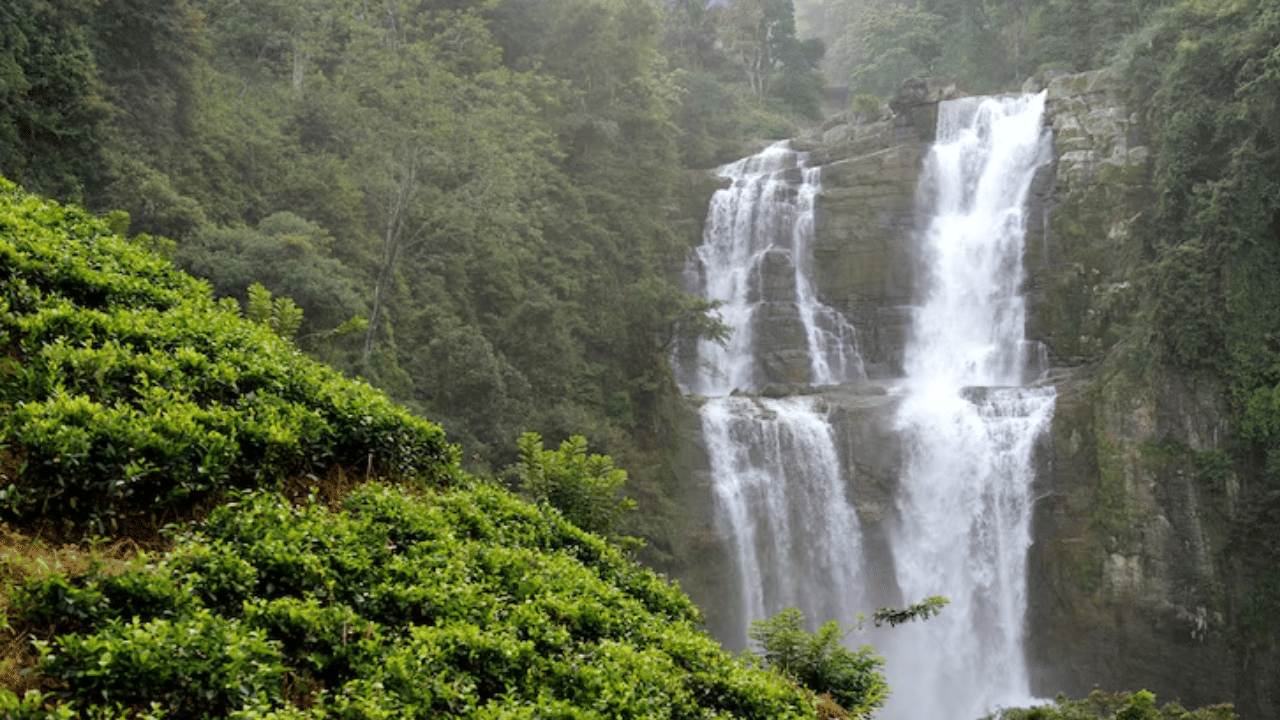 മഴ യാത്രകൾ എപ്പോഴും മനോഹരമാണ്. മഞ്ഞും മഴയും കാടും കോടയും കണ്ട് പഴയകാലത്തേക്ക് ടൈം ട്രാവൽ ചെയ്ത ഒരു അനുഭവം. അതാണ് മത്തേരാൻ. 