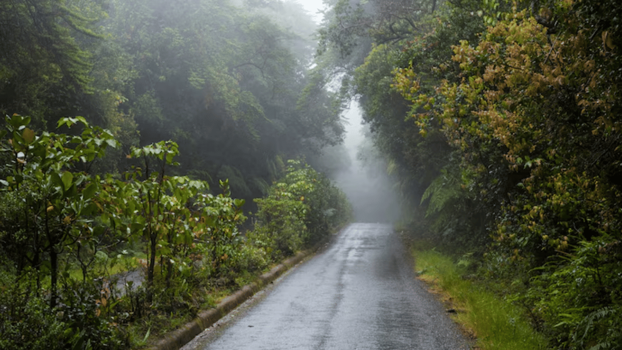 ഉയർന്ന ഈർപ്പവും കെട്ടിക്കിടക്കുന്ന വെള്ളവും താപനിലയിലുണ്ടാകുന്ന വ്യതിയാനങ്ങളും പല രോഗങ്ങൾക്കും അനുകൂലമായ സാഹചര്യങ്ങൾ സൃഷ്ടിക്കുന്നു. കേരളത്തിലെ കനത്ത മഴ കാരണം ചില രോഗങ്ങൾ ഈ സമയത്ത് പ്രത്യേകിച്ച് വ്യാപകമാകാറുണ്ട്. രോഗങ്ങൾ പടരുന്ന രീതി അനുസരിച്ച് അവയെ ജലജന്യ രോഗങ്ങൾ, കൊതുകുകളിലൂടെ പടരുന്നത്, വായുവിലൂടെ പകരുന്നതും ശ്വാസകോശ സംബന്ധിയായ അണുബാധകളും, ഫംഗസ് പരത്തുന്ന ചർമ്മ രോഗങ്ങൾ എന്നിങ്ങനെ തരംതിരിക്കുന്നു.