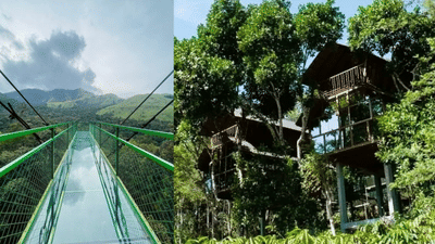 Wayanad 900 Kandi: ചില്ലുപാലവും കോടമഞ്ഞും, പിന്നെ ഓഫ്റോഡും; വയനാട്ടിലെ 900 കണ്ടി വൈബല്ലേ