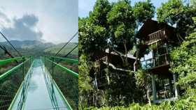 Wayanad 900 Kandi: ചില്ലുപാലവും കോടമഞ്ഞും, പിന്നെ ഓഫ്റോഡും; വയനാട്ടിലെ 900 കണ്ടി വൈബല്ലേ Wayanad 900 Kandi: ചില്ലുപാലവും കോടമഞ്ഞും, പിന്നെ ഓഫ്റോഡും; വയനാട്ടിലെ 900 കണ്ടി വൈബല്ലേ...