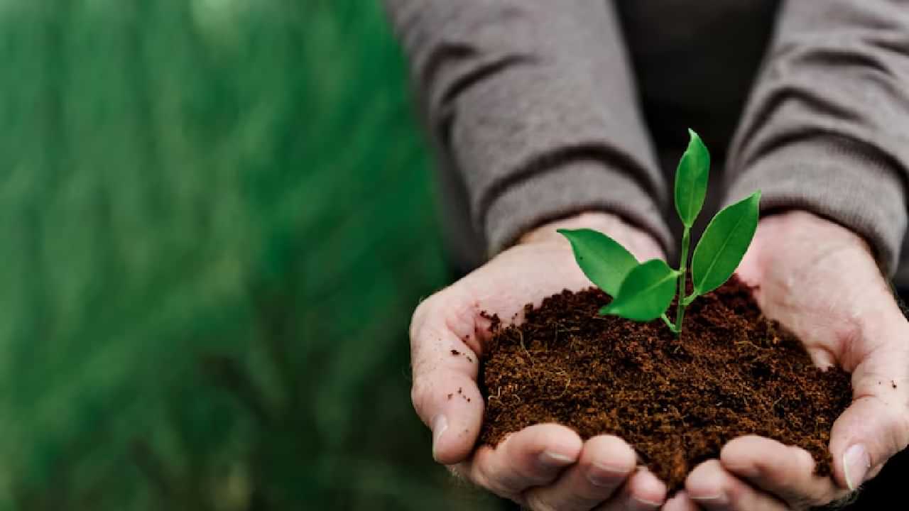 Agriculture courses after 12th: മനസുണ്ടെങ്കില്‍ മണ്ണിലുണ്ട് ഭാവി; പ്ലസ് ടു കഴിഞ്ഞ് പഠിക്കാം ഈ കാര്‍ഷിക കോഴ്‌സുകള്‍