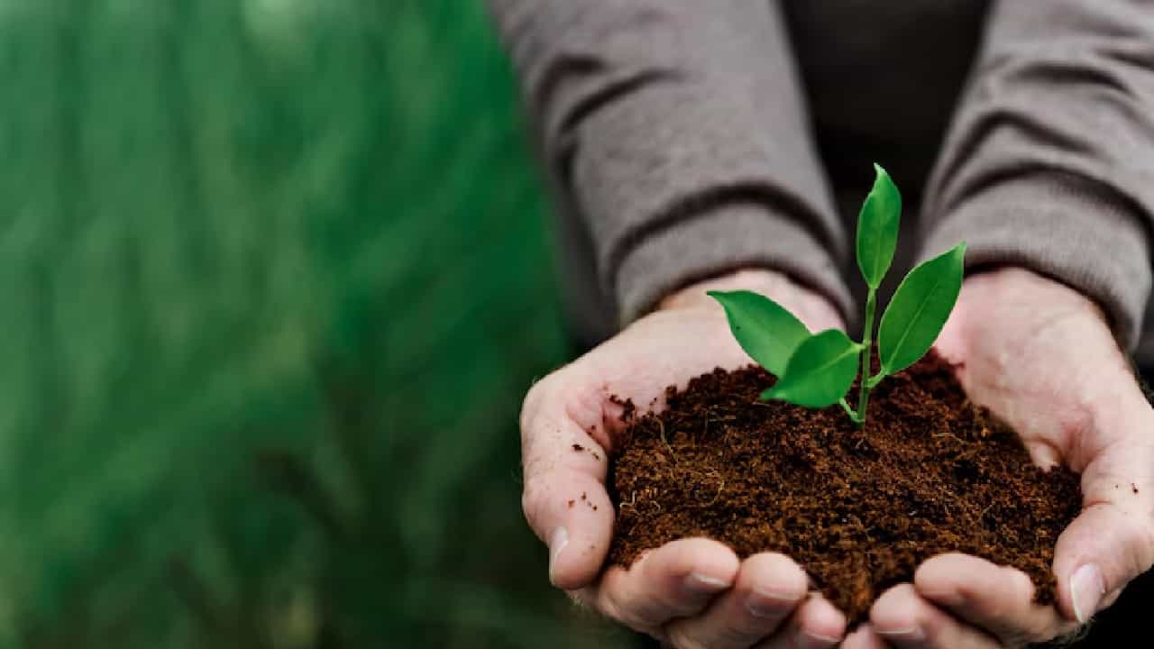 Agriculture courses after 12th: മനസുണ്ടെങ്കില് മണ്ണിലുണ്ട് ഭാവി; പ്ലസ് ടു കഴിഞ്ഞ് പഠിക്കാം ഈ കാര്ഷിക കോഴ്സുകള് Agriculture courses after 12th: മനസുണ്ടെങ്കില് മണ്ണിലുണ്ട് ഭാവി; പ്ലസ് ടു കഴിഞ്ഞ് പഠിക്കാം ഈ കാര്ഷിക കോഴ്സുകള്
