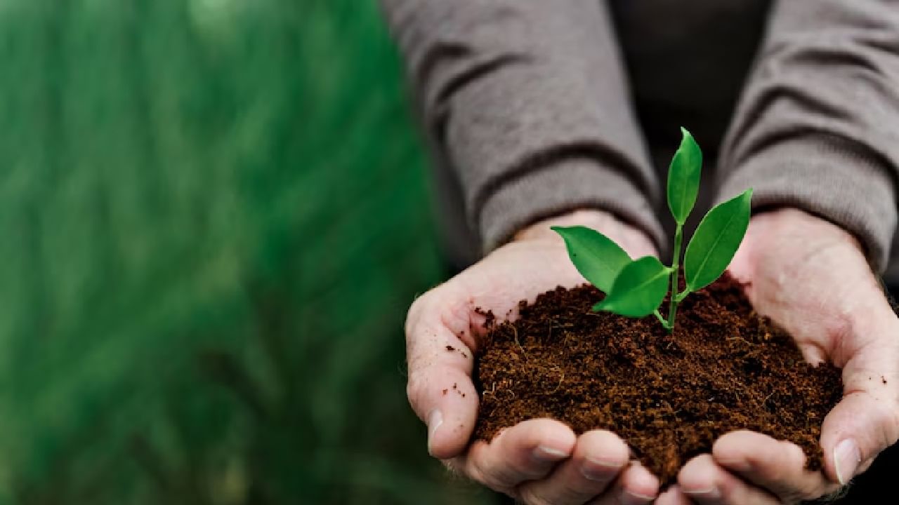 Agriculture courses after 12th: മനസുണ്ടെങ്കില്‍ മണ്ണിലുണ്ട് ഭാവി; പ്ലസ് ടു കഴിഞ്ഞ് പഠിക്കാം ഈ കാര്‍ഷിക കോഴ്‌സുകള്‍