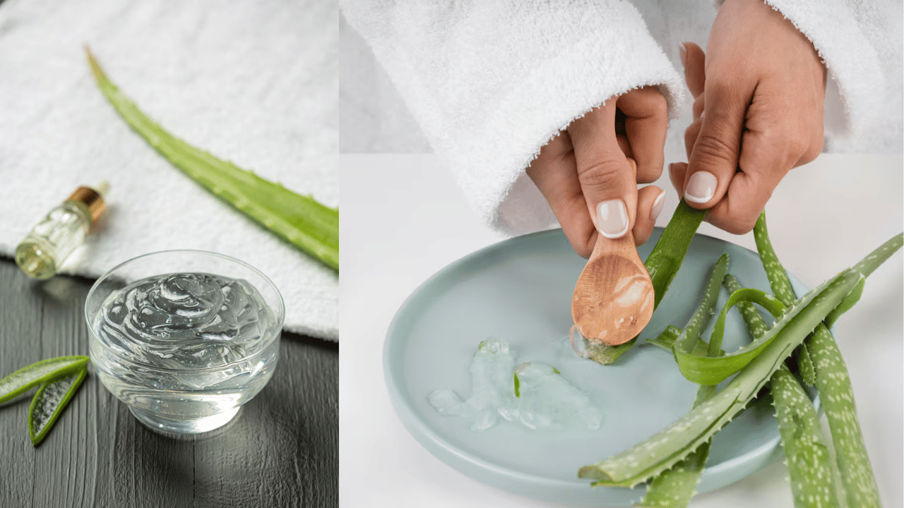 Aloe Vera Gel: കറ്റാർ വാഴ ജെൽ മുഖത്ത് പുരട്ടി ഉറങ്ങിക്കോളൂ! ഈ മാറ്റങ്ങൾ നിങ്ങളെ അത്ഭുതപ്പെടുത്തും Aloe Vera Gel: കറ്റാർ വാഴ ജെൽ മുഖത്ത് പുരട്ടി ഉറങ്ങിക്കോളൂ! ഈ മാറ്റങ്ങൾ നിങ്ങളെ അത്ഭുതപ്പെടുത്തും