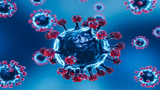 Students Bus Concession: ‘ഒഴിവ് ദിവസങ്ങളിലും വിദ്യാർത്ഥികൾക്ക് ബസ് യാത്രയ്ക്ക് കൺസഷൻ അനുവദിക്കണം’; മലപ്പുറം കളക്ടർ