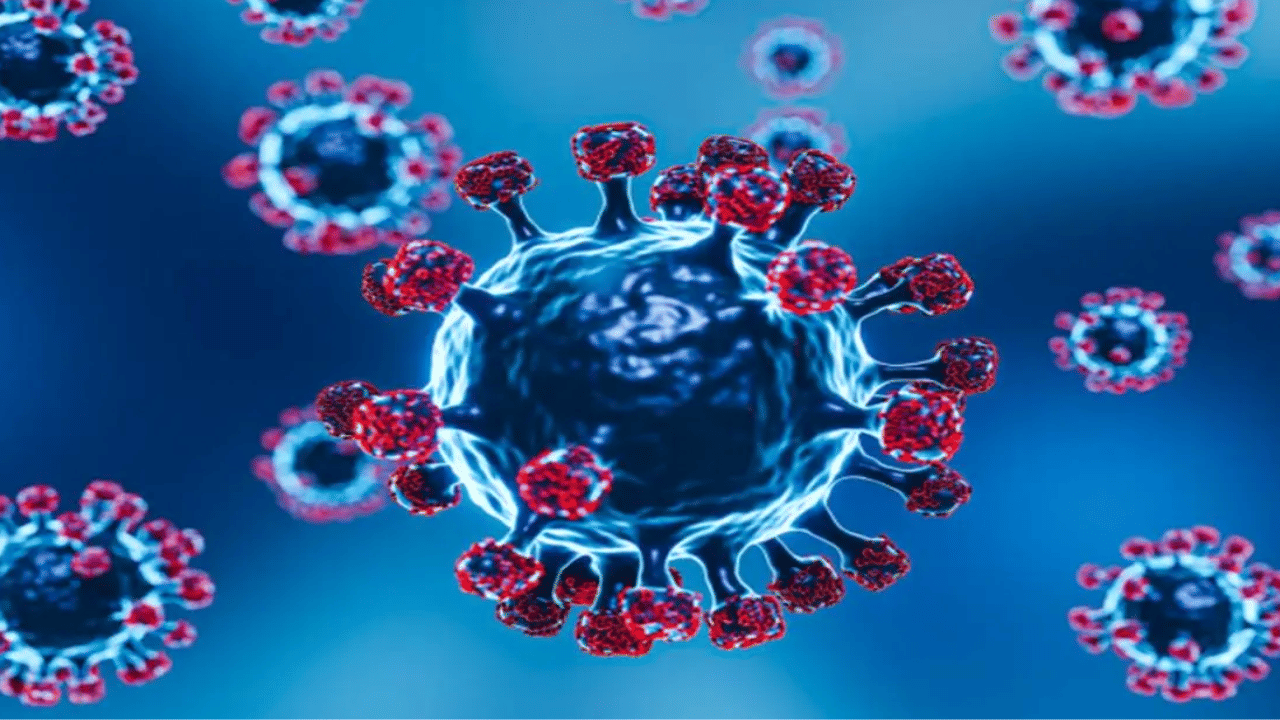 Kerala Covid Cases: സംസ്ഥാനത്ത് 519 കോവിഡ് കേസുകൾ; ആശുപത്രികളിലേക്കുള്ള അനാവശ്യ സന്ദ‍‌ർശനം ഒഴിവാക്കണമെന്ന് ആരോഗ്യമന്ത്രി