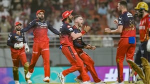 IPL 2025: അനായാസ വിജയം; ആര്‍സിബി ഫൈനലില്‍, പഞ്ചാബിന് ഇനി അഗ്നിപരീക്ഷ