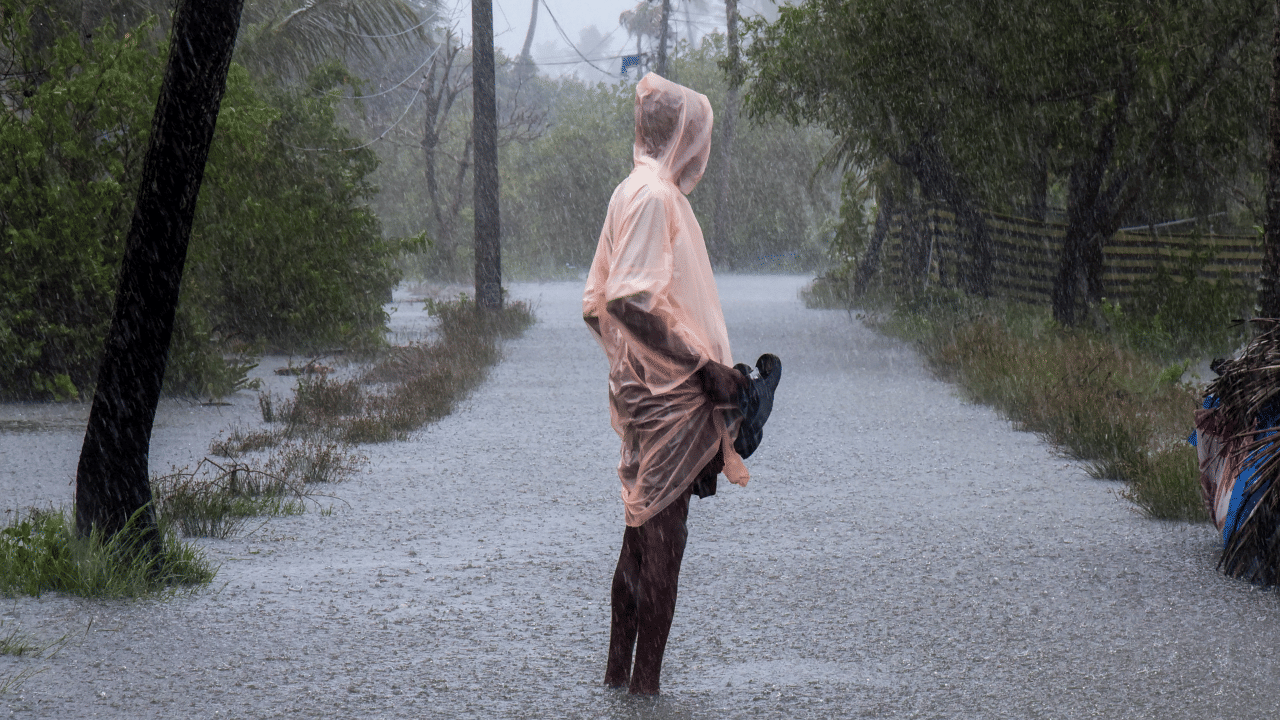 Kerala Rain Alert: കനത്ത മഴ തുടരുന്നു; 3 ജില്ലകളിൽ റെഡ് അലർട്ട്, 9 വിദ്യാഭ്യാസ സ്ഥാപനങ്ങൾക്ക് ഇന്ന് അവധി