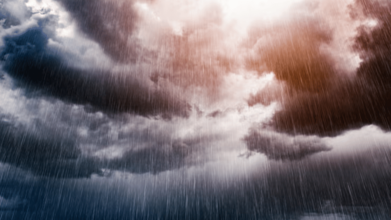 Kerala Weather Update: സംസ്ഥാനത്ത് ഇന്ന് ശക്തമായ മഴയ്ക്ക് സാധ്യത; മൂന്ന് ജില്ലകളിൽ യെല്ലോ അലർട്ട്