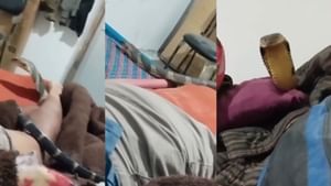 Viral Video: എട അത് പാമ്പാടാ! ഇത്രയും ധൈര്യം ചാള്‍സ് ശോഭരാജില്‍ മാത്രമേ ഞാന്‍ കണ്ടിട്ടുള്ളൂ