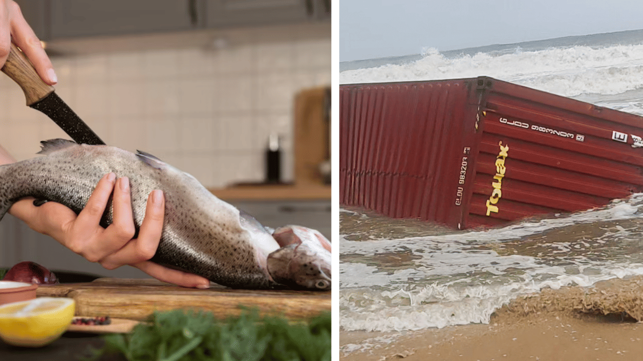 Kochi Ship Accident: മീൻ കഴിക്കുന്നവരേ… ആ ശീലം നിർത്തിക്കോളൂ, മുങ്ങിയ കപ്പലിലെ കണ്ടെയ്നറിലുള്ള കാൽസ്യം കാർബൈഡ് പ്രശ്നമുണ്ടാക്കാം