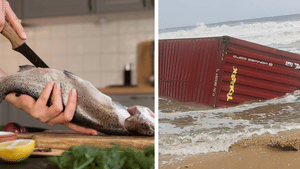 Kochi Ship Accident: മീൻ കഴിക്കുന്നവരേ… ആ ശീലം നിർത്തിക്കോളൂ, മുങ്ങിയ കപ്പലിലെ കണ്ടെയ്നറിലുള്ള കാൽസ്യം കാർബൈഡ് പ്രശ്നമുണ്ടാക്കാം