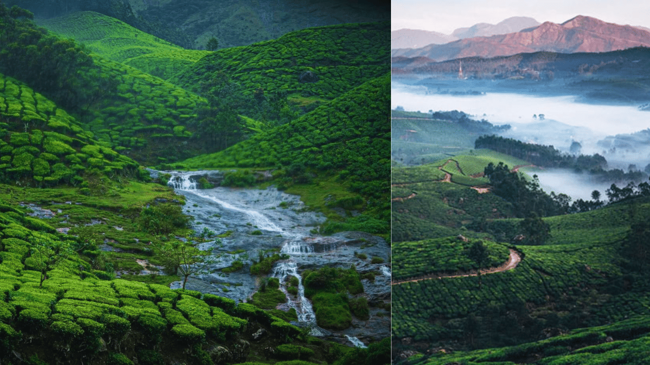 Munnar Trip: മെയ് മാസത്തിൽ മൂന്നാർ ആസ്വദിക്കാം; പോകേണ്ടതും കാണേണ്ടതുമായ കാഴ്ച്ചകൾ