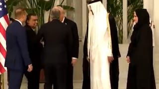 Cockroaches on Spirit airlines: ‘പാറ്റ’കളുടെ വിമാന യാത്ര, പരിഭ്രാന്തിയിൽ യാത്രക്കാരിയും; വൈറലായി വിഡിയോ