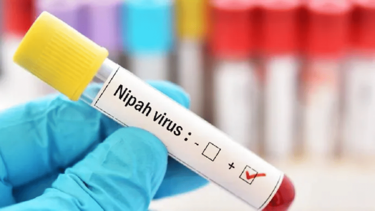 Nipah virus: നിപ; ഹൈറിസ്‌ക് പട്ടികയിൽ 4 ജില്ലക്കാർ, 37 പേർ പുതുതായി സമ്പർക്ക പട്ടികയിൽ