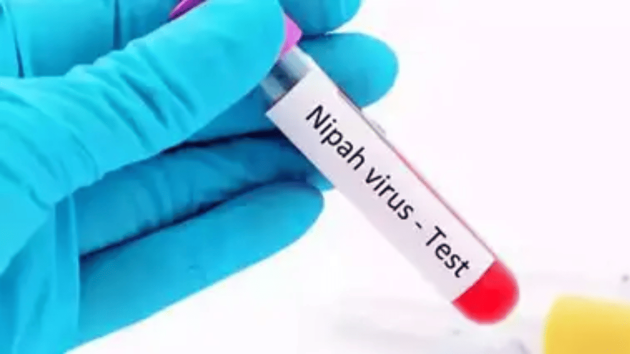 Nipah Virus: സംസ്ഥാനത്ത് വീണ്ടും നിപ; വളാഞ്ചേരി സ്വദേശിക്ക് രോഗം സ്ഥിരീകരിച്ചു
