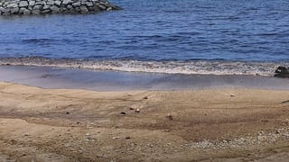 Donald Trump: ലഷ്കർ ബന്ധമുണ്ടായിരുന്നയാളെ ഉൾപ്പടെ ഉപദേശകസമിതിയിലേക്ക് നിയമിച്ച് ഡൊണാൾഡ് ട്രംപ്