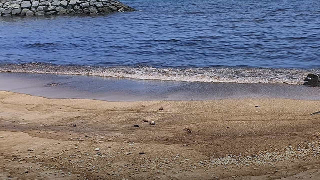 Khor Fakkan Beach: എണ്ണച്ചോർച്ച; ഖോർഫക്കാൻ ബീച്ചിൽ നീന്തൽ വിലക്കി അധികൃതർ Khor Fakkan Beach: എണ്ണച്ചോർച്ച; ഖോർഫക്കാൻ ബീച്ചിൽ നീന്തൽ വിലക്കി അധികൃതർ