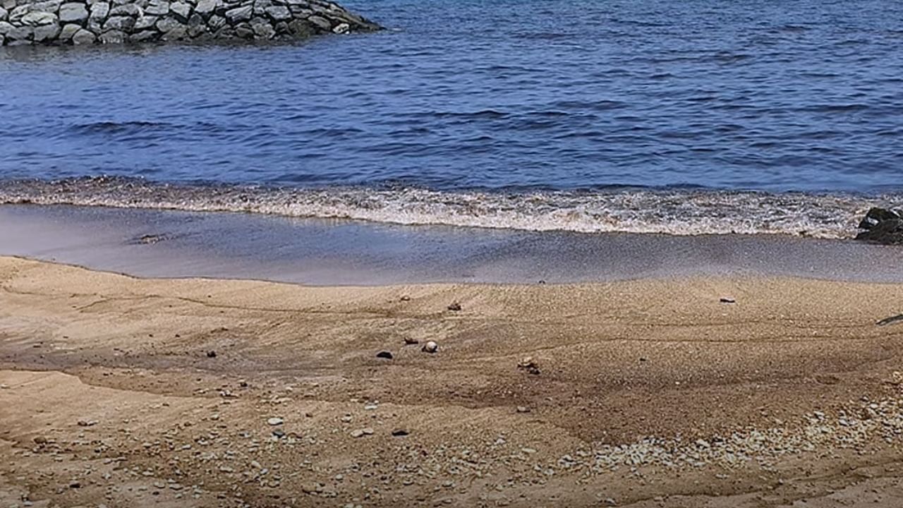 Khor Fakkan Beach: എണ്ണച്ചോർച്ച; ഖോർഫക്കാൻ ബീച്ചിൽ നീന്തൽ വിലക്കി അധികൃതർ