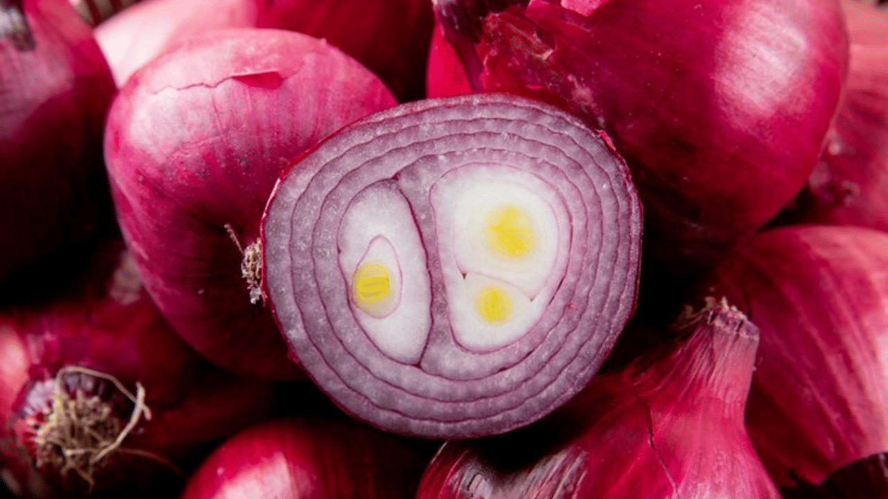 ഈ ഫം​ഗസിന്റെ സ്പോറുകൾ ശ്വസിക്കുന്നത് എല്ലാ മനുഷ്യരിലും ആരോ​ഗ്യപ്രശ്നങ്ങളുണ്ടാക്കുമെന്നല്ല പഠനത്തിൽ പറയുന്നത്. മറിച്ച്, ആസ്മ, സിസ്റ്റിക് ഫൈബ്രോസിസ്, കുറഞ്ഞ രോ​ഗപ്രതിരോധശേഷിയുള്ളവർ എന്നിവരെയാണ് രോ​ഗം കാര്യമായി ബാധിക്കുന്നത്. 