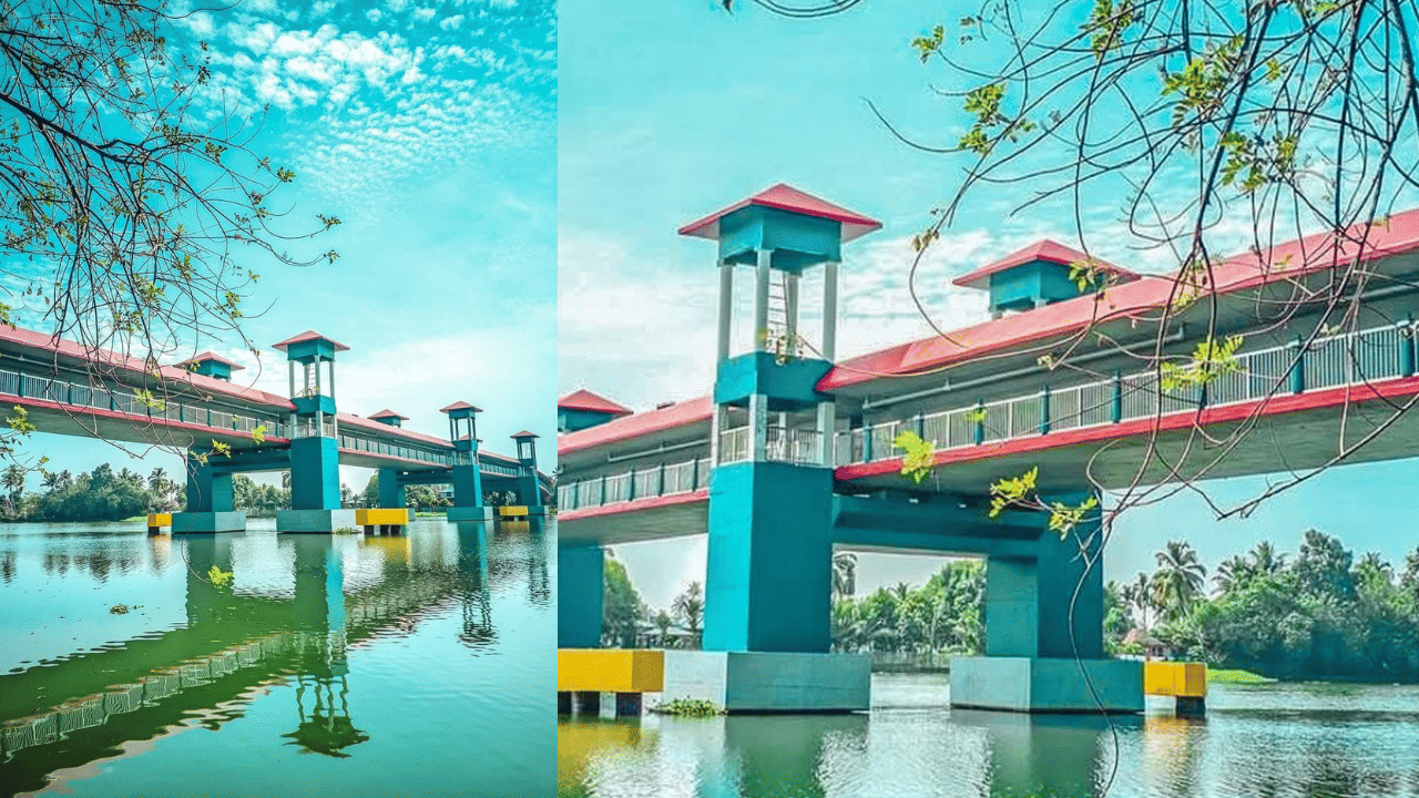 Padaharam Bridge: മുകളിൽ റോഡ്, താഴെ നടപ്പാത, 8 വാച്ച് ടവറുകൾ; ഇതാണ് തകഴി നെടുമുടിയെ കൂട്ടിമുട്ടിക്കുന്ന പടഹാരം പാലം Padaharam Bridge: മുകളിൽ റോഡ്, താഴെ നടപ്പാത, 8 വാച്ച് ടവറുകൾ; ഇതാണ് തകഴി നെടുമുടിയെ കൂട്ടിമുട്ടിക്കുന്ന പടഹാരം പാലം