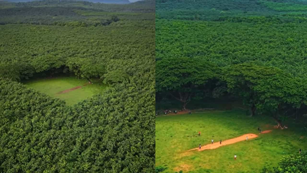 Palappilly Cricket Ground: ആര്‍ട്ടിഫിഷ്യല്‍ ഇന്റലിജന്‍സ് തോറ്റുപോകുന്ന ദൃശ്യചാരുത; തൃശൂരിലെ ആ വൈറല്‍ മൈതാനം സഞ്ജീവ് ഗോയങ്കയുടേത്‌