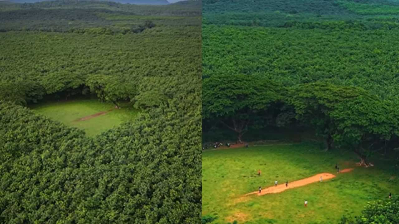 Palappilly Cricket Ground: ആര്‍ട്ടിഫിഷ്യല്‍ ഇന്റലിജന്‍സ് തോറ്റുപോകുന്ന ദൃശ്യചാരുത; തൃശൂരിലെ ആ വൈറല്‍ മൈതാനം സഞ്ജീവ് ഗോയങ്കയുടേത്‌