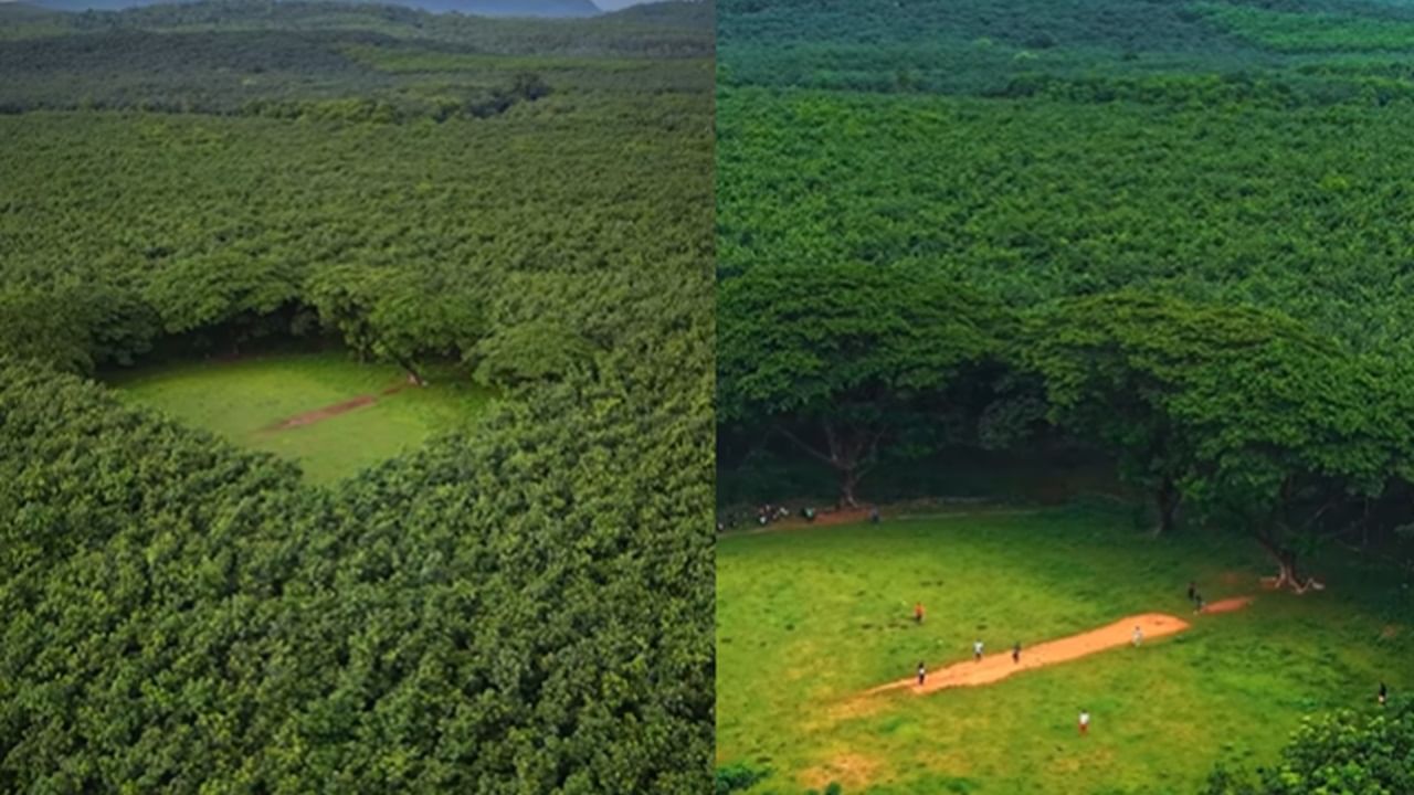 Palappilly Cricket Ground: ആര്‍ട്ടിഫിഷ്യല്‍ ഇന്റലിജന്‍സ് തോറ്റുപോകുന്ന ദൃശ്യചാരുത; തൃശൂരിലെ ആ വൈറല്‍ മൈതാനം സഞ്ജീവ് ഗോയങ്കയുടേത്‌