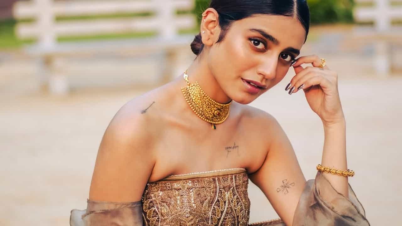 Priya Prakash Varrier: മൂന്നര കോടിയാണ് വാങ്ങുന്നതെന്ന് കേട്ടല്ലോയെന്ന് പ്രമുഖ സംവിധായകന്‍ ചോദിച്ചു; തെറ്റിദ്ധാരണകളെക്കുറിച്ച് പ്രിയ വാര്യര്‍