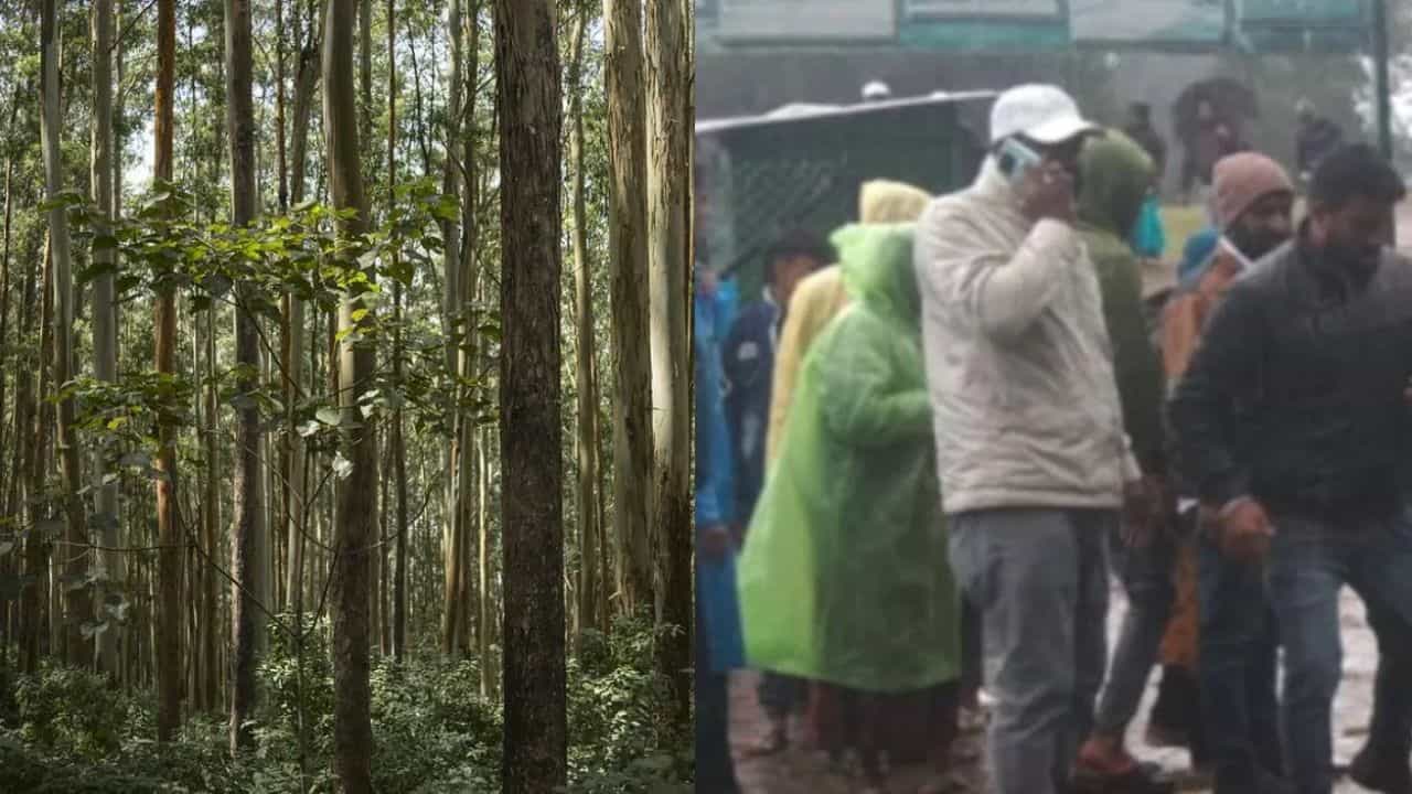 Malayali Boy Died in Ooty: വടകര സ്വദേശിയായ 15കാരന്‍ മരം തലയില്‍ വീണ് മരിച്ചു; സംഭവം ഊട്ടിയില്‍