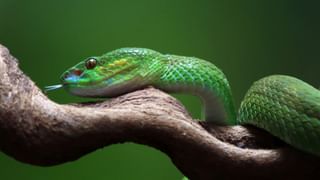 National Herald Case: നാഷണല്‍ ഹെറാള്‍ഡ് കേസ്; സോണിയക്കും രാഹുലിനും കോടതി നോട്ടീസ്‌