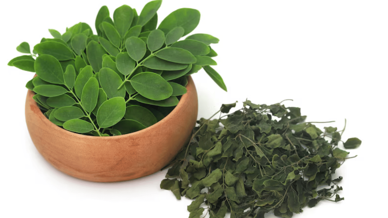 പല കാരണങ്ങളാൽ എല്ലാ പെൺകുട്ടികളും നേരിടുന്ന പ്രശ്നമാണ് മുടി കൊഴിച്ചിൽ. അത്തരക്കാർക്ക് ഏറ്റവും ഉപയോ​ഗപ്രദമായ ഒന്നാണ് മുരിങ്ങ. ഏറെ ആരോ​ഗ്യ ​ഗുണങ്ങളുള്ളവയാണ് മുരിങ്ങയെന്ന് നമുക്കറിയാം. എന്നാൽ മുടി വളർച്ചയ്ക്ക് ഇവ എങ്ങനെ ഉപയോ​ഗിക്കണമെന്ന് പലർക്കും അറിയില്ല. വിറ്റാമിൻ എ, സി, സിങ്ക് എന്നിവയുടെ ഗുണങ്ങളാൽ സമ്പന്നമായ മുരിങ്ങ ഉപയോ​ഗിക്കാൻ വളരെ എളുപ്പമാണ്. (Image Credits: Freepik)
