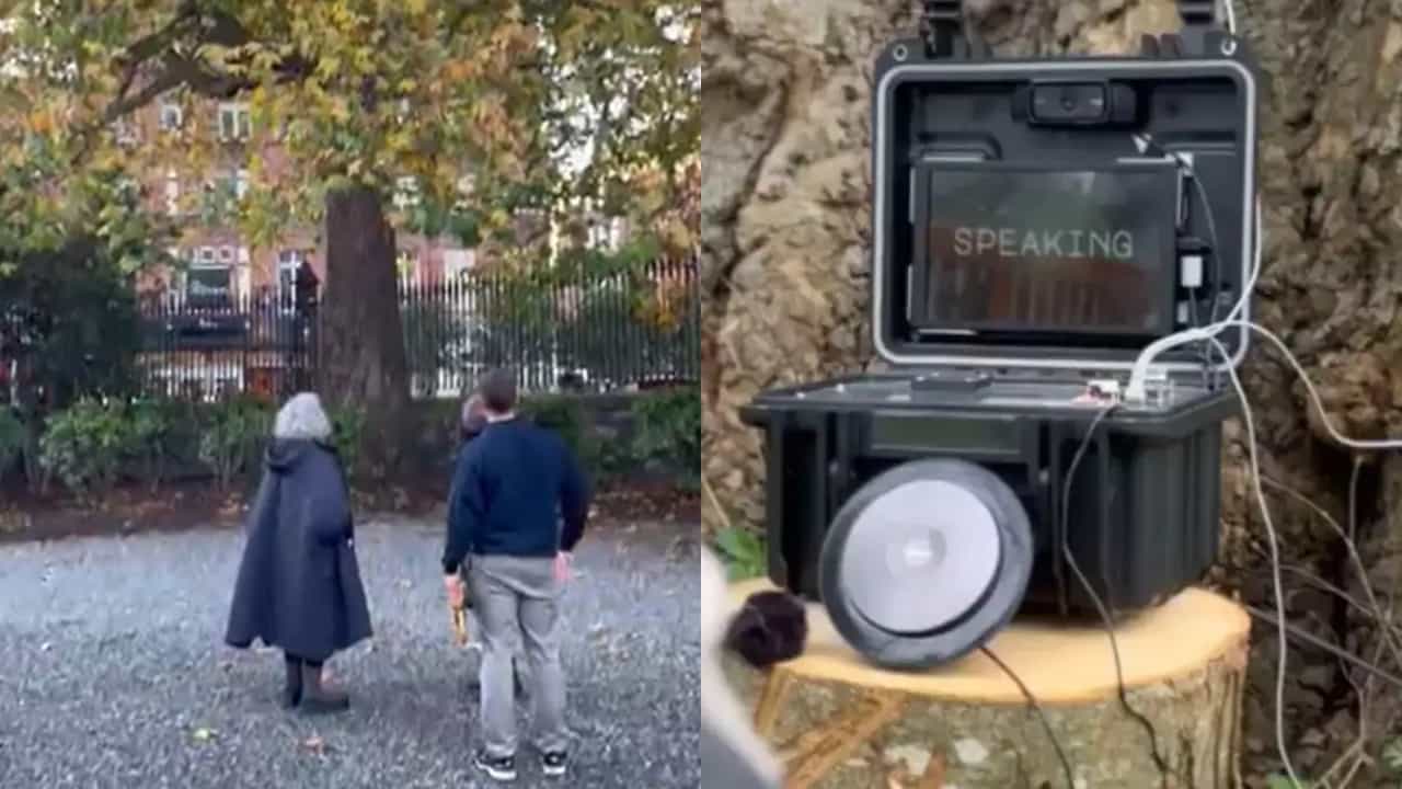 Viral Video: 200 വർഷം പഴക്കമുള്ള സംസാരിക്കുന്നൊരു മരം, ഒടുവിലത് സംഭവിച്ചു