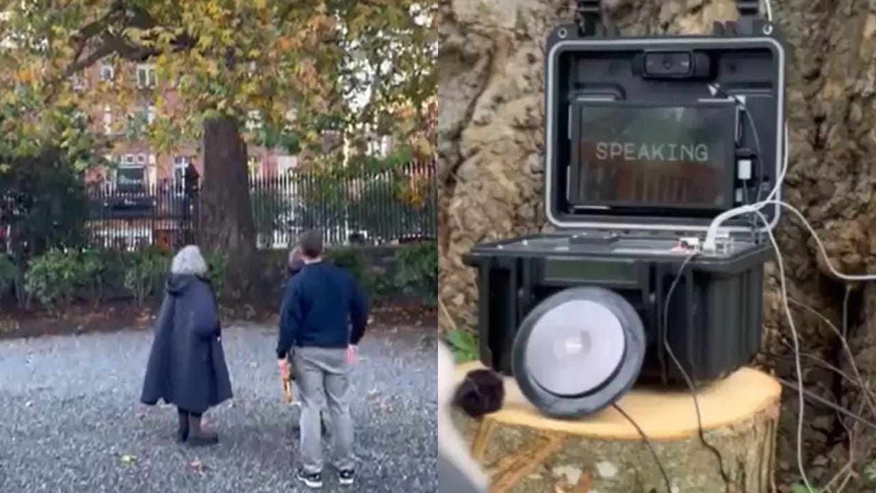 Viral Video: 200 വർഷം പഴക്കമുള്ള സംസാരിക്കുന്നൊരു മരം, ഒടുവിലത് സംഭവിച്ചു