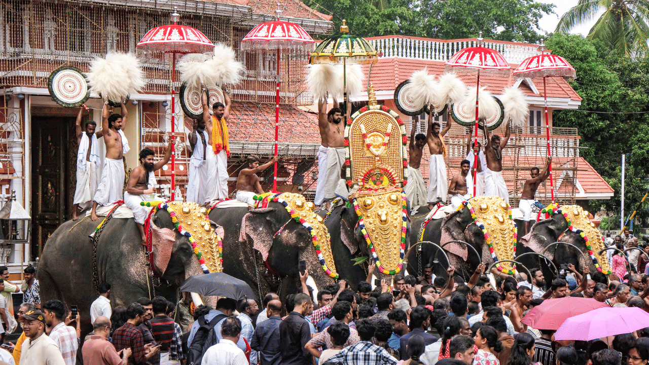 നാളത്തെ പൂരത്തിന് മുന്നോടിയായി ആനകളുടെ ഫിറ്റ്നസ് പരിശോധന ഇന്ന് വൈകിട്ട് നടക്കും. നാളെ രാവിലെ ഏഴര മുതലാണ് ഘടകപൂരങ്ങളുടെ വരവ് തുടങ്ങുന്നത്.
