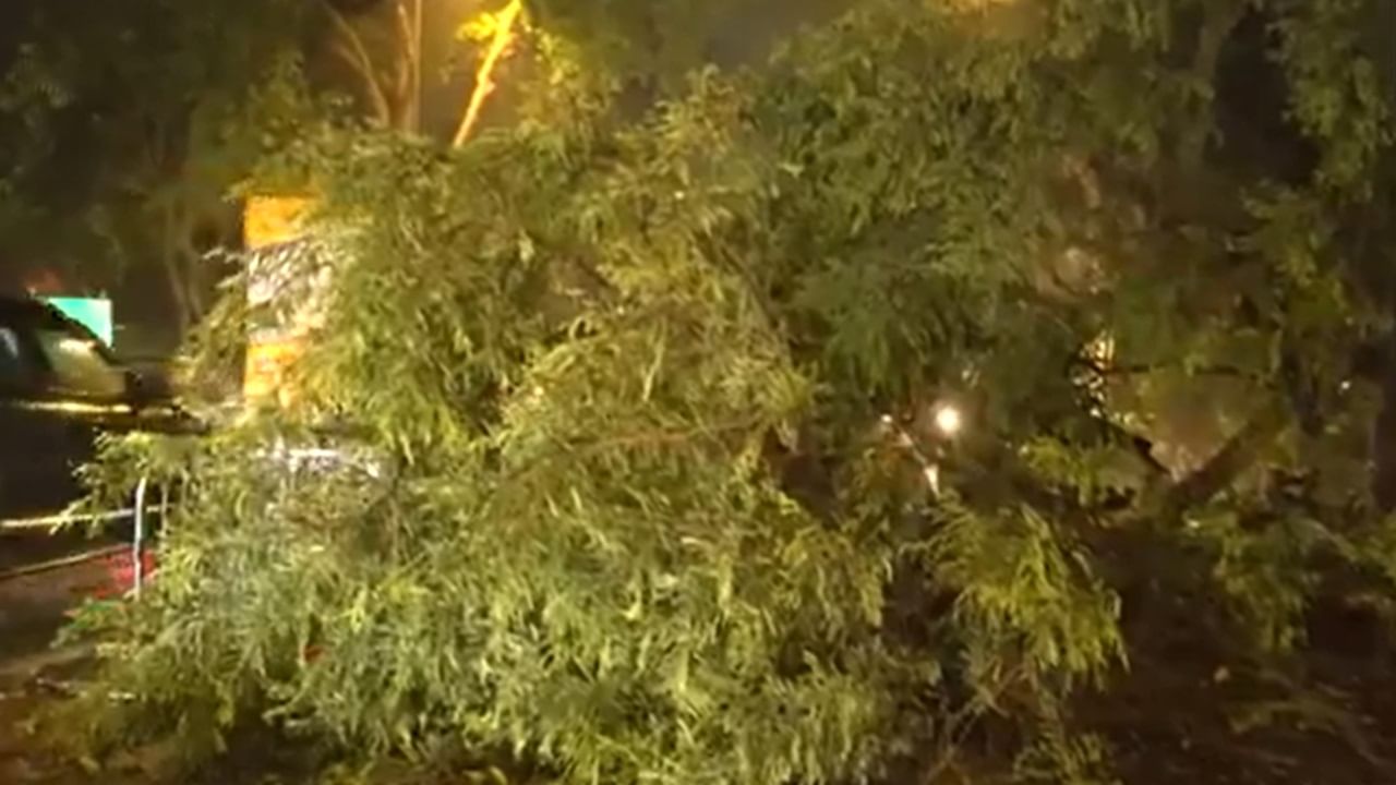 Delhi Storm: ഡല്‍ഹിയില്‍ കനത്ത കാറ്റും മഴയും; ജനജീവിതം തടസപ്പെട്ടു; വൈദ്യുതി മുടങ്ങി