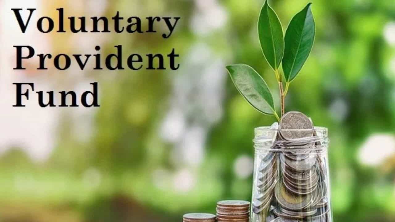 Voluntary Provident Fund: ശമ്പളം എത്രയായാലും വിഷയമല്ല! മികച്ച റിട്ടയര്‍മെന്റ് കോര്‍പ്പസിനായി വിപിഎഫ് ഉണ്ടല്ലോ