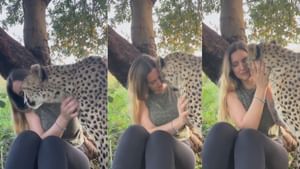 Viral Video: അല്‍പം വിചിത്രമാണെങ്കിലും ക്യൂട്ടായിട്ടുണ്ട്; ചീറ്റയെ ചുംബിക്കുന്ന യുവതിയുടെ വീഡിയോ വൈറല്‍