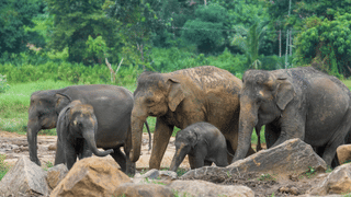 Covid-19 kerala : പുതിയ കോവിഡ് വൈറസ് വാക്സിനെടുത്തവരേയും ബാധിക്കുമോ? ഈ ലക്ഷണങ്ങൾ സൂക്ഷിക്കുക