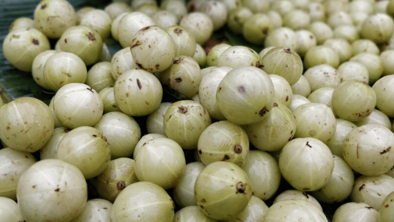 നെല്ലിക്കയിൽ വിറ്റാമിൻ സി വളരെ അധികം ഉള്ളതിനാൽ ഇത് ശരീരത്തിന്റെ പ്രതിരോധ ശേഷി വർധിപ്പിക്കുന്നു. പനി, തുമ്മൽ, ജലദോഷം എന്നിവയിൽ നിന്ന് രക്ഷപ്പെടാൻ സഹായിക്കുന്നു.