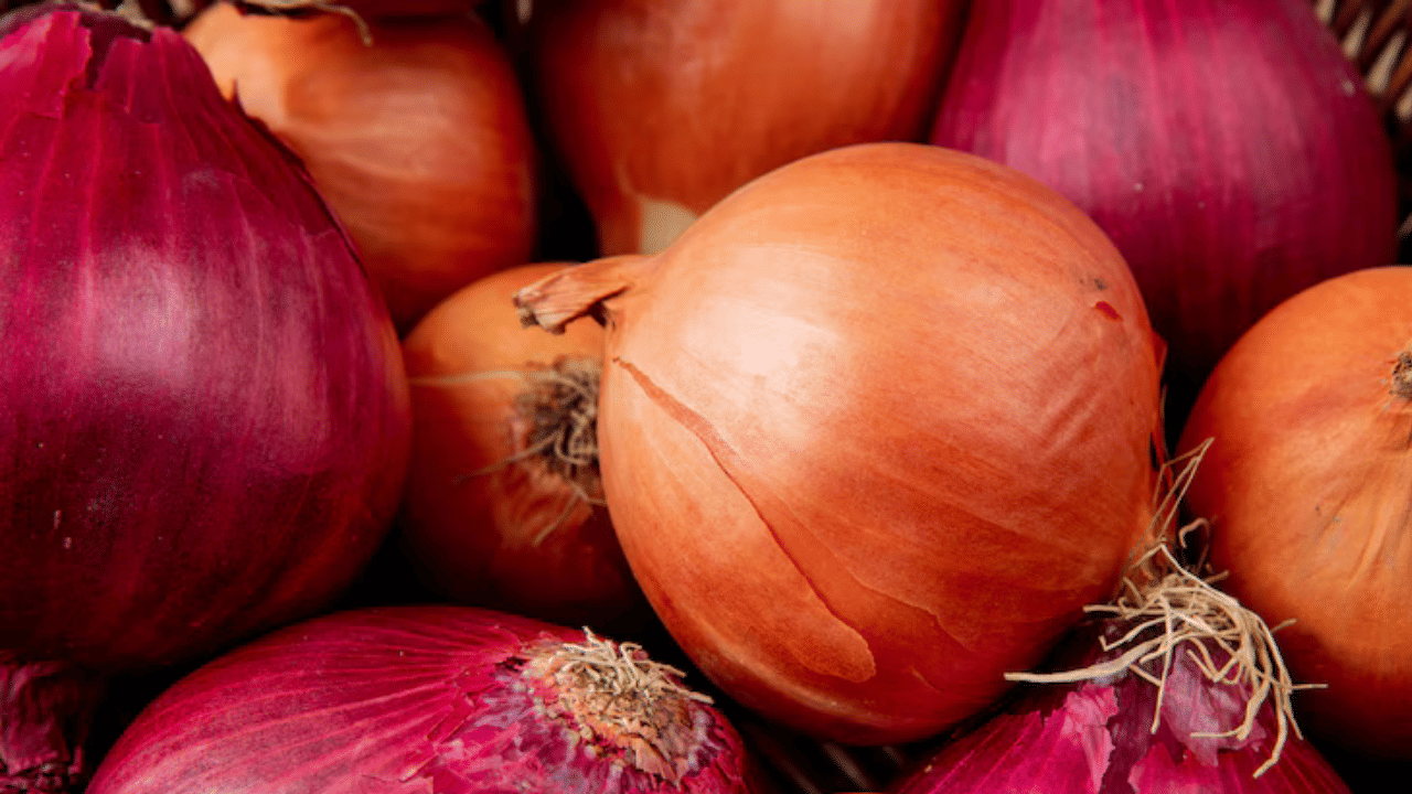 അടുക്കളയിലെ നിത്യേപയോഗ വസ്തുക്കളിൽ പ്രധാനപ്പെട്ടതാണ് സവാള. മിക്ക വിഭവങ്ങൾക്കും സവാള അത്യാവശ്യമാണ്. ആസ്പർജില്ലസ് എന്ന ഫംഗസ് ആണ് സവാളയിലെ തൊലിപ്പുറത്തു കറുത്ത നിറത്തിൽ കാണപ്പെടുന്നത്. ഇവ അപകടകാരികളായതിനാലാണ് സവാള വൃത്തിയായി കഴുകി ഉപയോഗിക്കണമെന്ന് പറയുന്നത്. ഏത് ഭാ​ഗത്താണോ ഈ ഫം​ഗസ് കാണുന്നത് അവയെ പൂർണമായും നീക്കം ചെയ്യുക. 