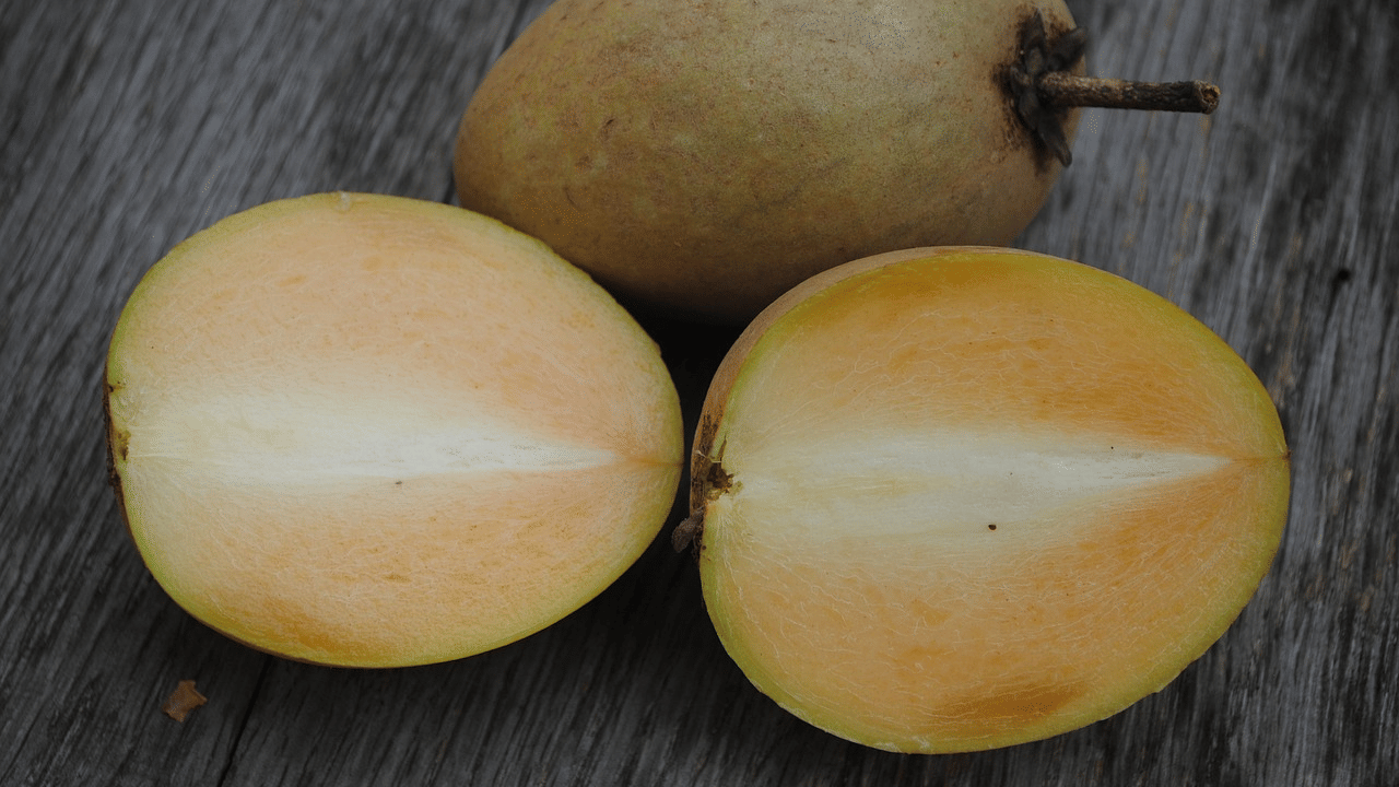 Chikoo Benefits: രക്തസമ്മർദം നിയന്ത്രിക്കും, വിളർച്ച തടയും; സപ്പോട്ടയ്ക്ക് പലതുണ്ട് ഗുണങ്ങൾ Chikoo Benefits: രക്തസമ്മർദം നിയന്ത്രിക്കും, വിളർച്ച തടയും; സപ്പോട്ടയ്ക്ക് പലതുണ്ട് ഗുണങ്ങൾ