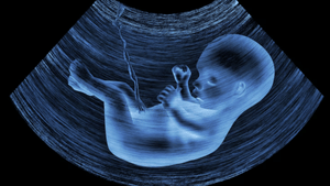 Fetus Death: കോഴിക്കോട് ഒമ്പത് മാസം പ്രായമായ ഗർഭസ്ഥ ശിശു മരിച്ചു; ചികിത്സാ പിഴവെന്ന് ആരോപണം