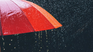 Youth Found Death: കോഴിക്കോട് ലോഡ്ജിൽ കഴുത്തറുത്ത നിലയിൽ യുവാവിന്റെ മൃതദേഹം; കൊലപാതകമെന്ന് സംശയം