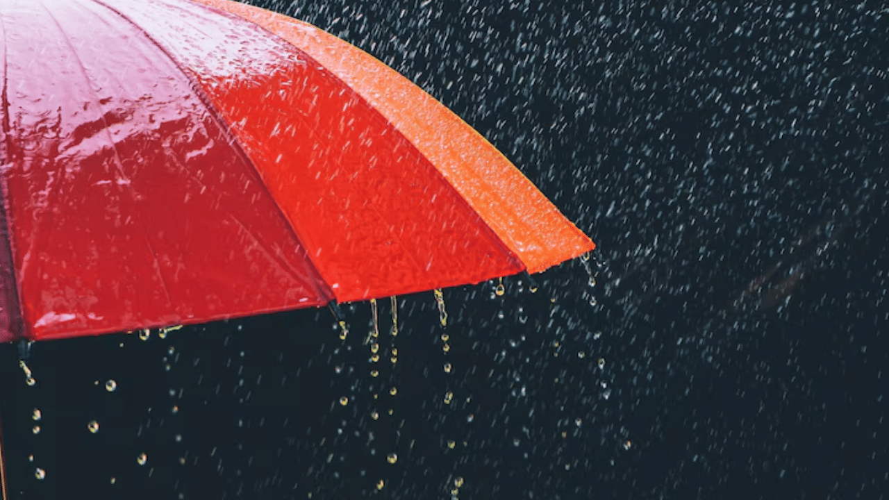 Southwest monsoon in Kerala: കേരളത്തിൽ കാലവർഷം എത്തി, ഇത്ര നേരത്തെ എത്തുന്നത് 16 വർഷത്തിന് ശേഷം