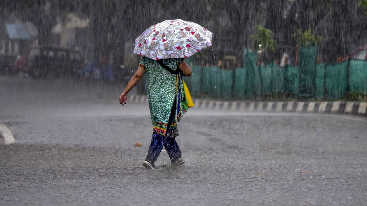Kerala Rain Alert: സംസ്ഥാനത്ത് ഇന്നും മഴ തുടരും; ശക്തമായ കാറ്റിനും ഇടിമിന്നലിനും സാധ്യത; കള്ളക്കടല്‍ മുന്നറിയിപ്പ്
