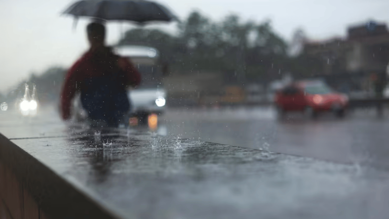 മഴയുടെ തീവ്രത അനുസരിച്ചാണ് അലർട്ടുകൾ നൽകുന്നത്. യെല്ലോ, ഓറഞ്ച്, റെഡ് എന്നീ മൂന്ന് തരം മുന്നറിയിപ്പുകളാണ് ഉള്ളത്. യെല്ലോ അലർട്ടുകളുടെ അർത്ഥം ശക്തമായ മഴയ്ക്ക് സാധ്യത ഉണ്ടെന്നാണ്. 64.5 മില്ലീമീറ്റർ മുതൽ 111.5 മില്ലീമീറ്റർ മഴ വരെ ലഭിച്ചേക്കും.
