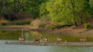 Tour Packages Sale: പിന്തുണ പാകിസ്താന്, തു‍ർക്കിയിലേക്ക് ടൂർ പാക്കേജുകൾ വിൽക്കുന്നതിനെ എതിർത്ത് ട്രാവൽ ഏജന്റുമാർ