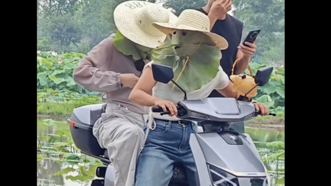 സൺസ്ക്രീനു പകരം ആമ്പൽ ഇലകൊണ്ട് മുഖം മറച്ച് സ്കൂട്ടറോടിക്കുന്ന യുവതികളാണ് ഇപ്പോൾ സോഷ്യൽ മീഡിയയിൽ താരം. ഇതിനു പിന്നിൽ ശാസ്തീയ അടിസ്ഥാനം ഉണ്ടോ ഇല്ലയോ എന്ന ചർച്ചകളുമായി വീഡിയോ വൻ വൈറലായിരിക്കുന്നു. 